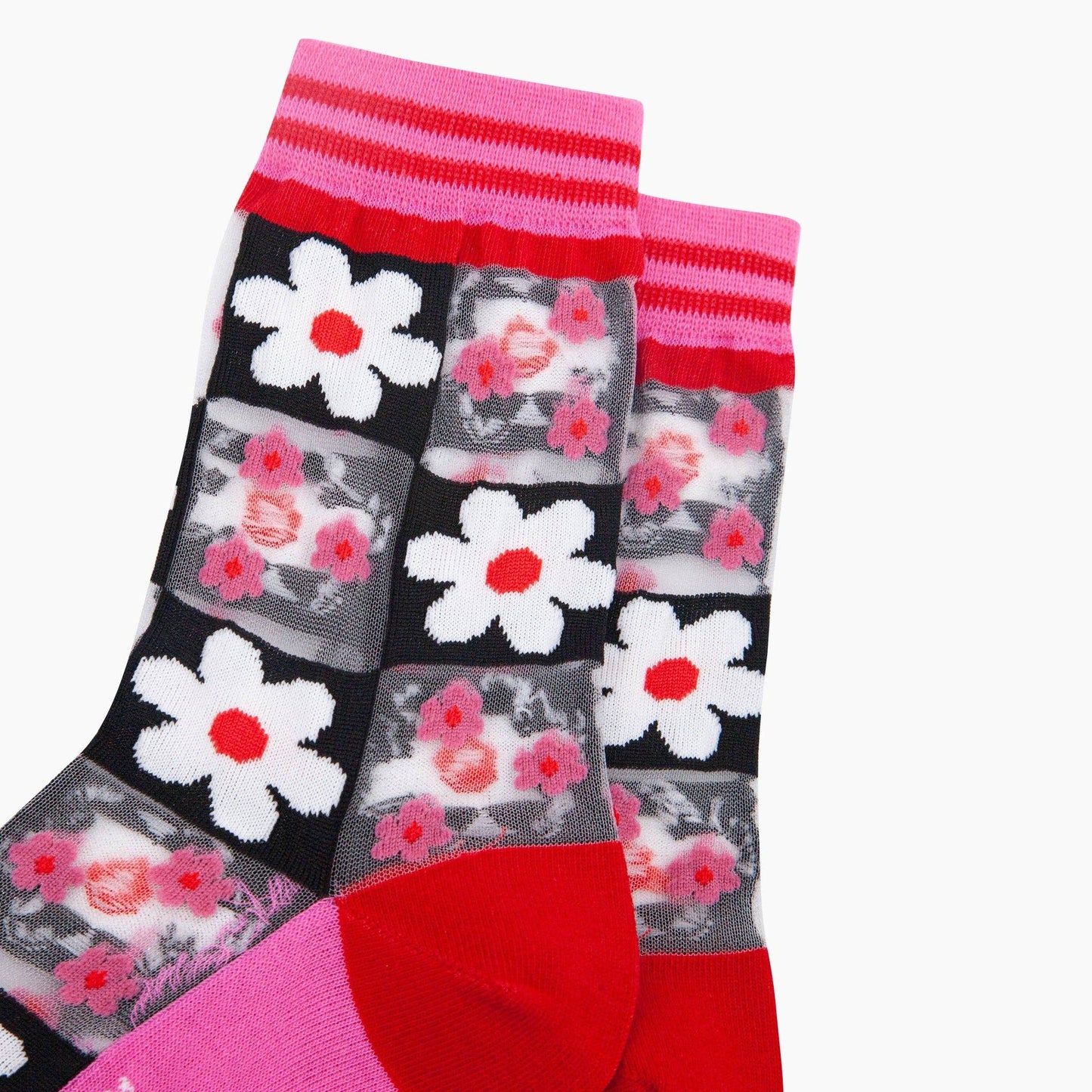 Daisy Checkerboard Combed Cotton Sheer Pop Socks in Pink